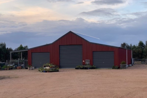 An Australian Barn style Colorbond shed with Manor Red walls and Woodland Grey doors and trim