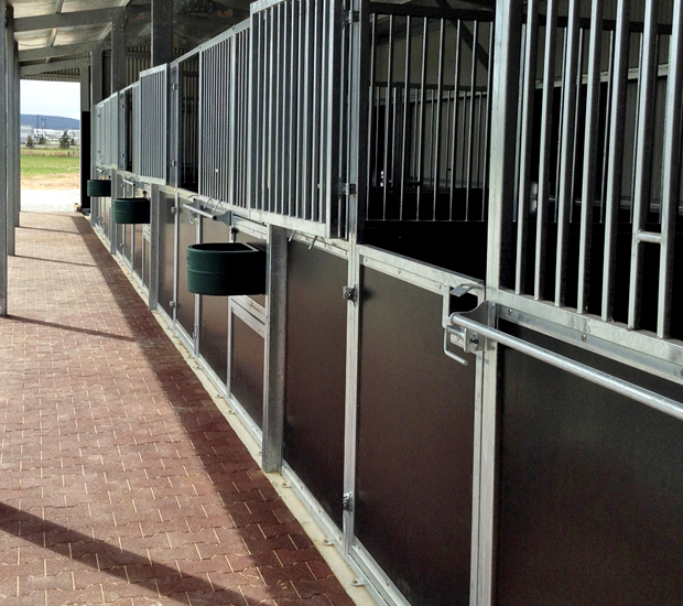 Stable stalls with swinging doors