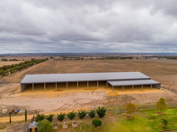 Large steel rural arena with many open bays surrounded by paddocks with a garden in the foreground